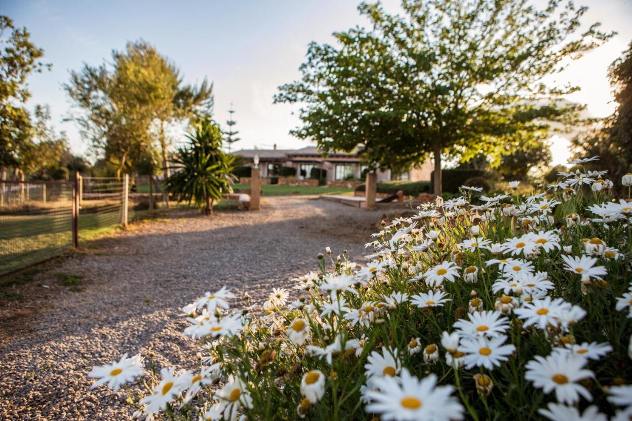 Agroturismo Can Pere Rei Son Serra de Marina Luaran gambar